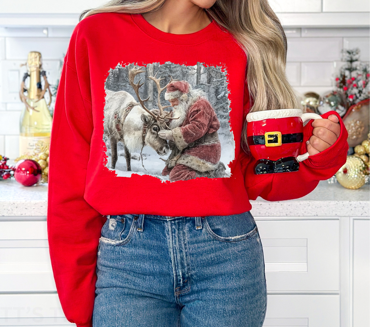 Vintage Santa Reindeer - DTF Transfer