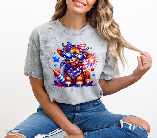 Firework Cow - DTF Transfers