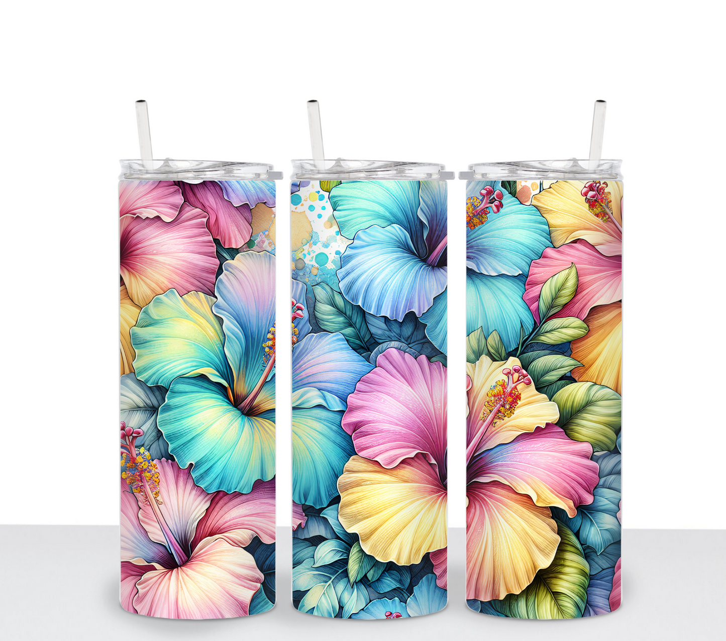 Colorful Hibiscus Flowers