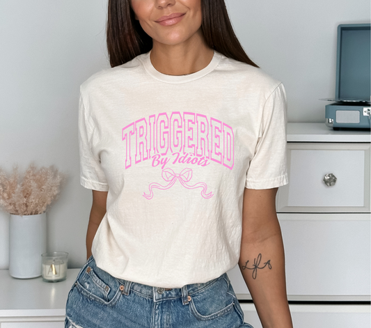 TRIGGERED BY IDIOTS - DTF TRANSFER